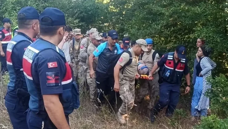 Sinop’ta Alzheimer hastası yaşlı adam ormanda bulundu